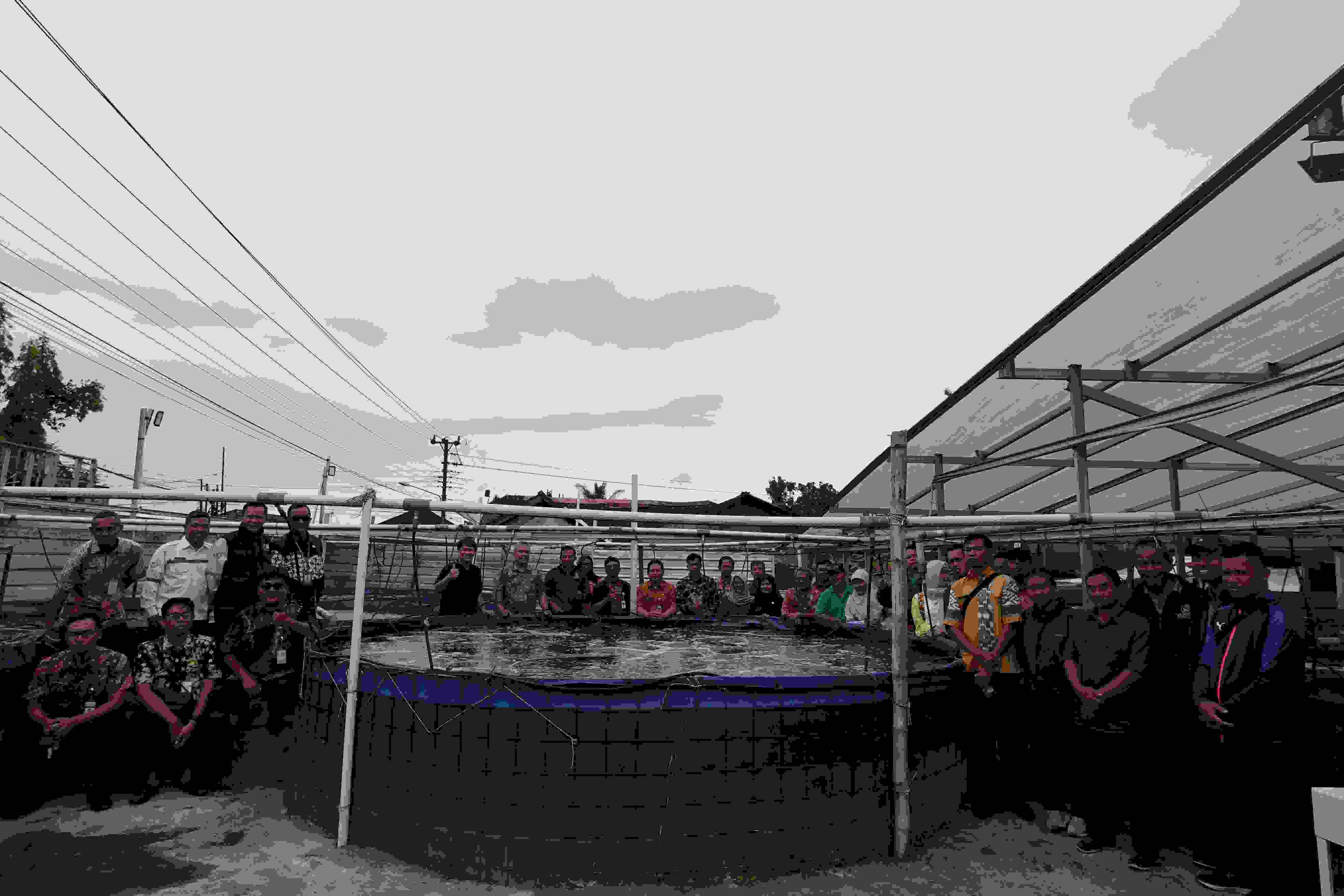 EKSPLORASI STRATEGI BIOFLOK IKAN NILA  DI ARMAN BIOFLOK WONOSOBO